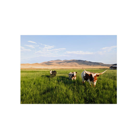 Grasslands Aluminum Composite Panels