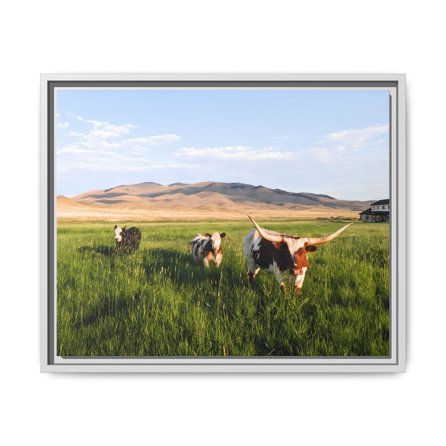Grasslands Metal Printed Frame
