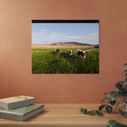 Grasslands Aluminum Composite Panels