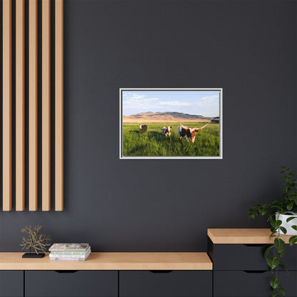 Grasslands Metal Printed Frame