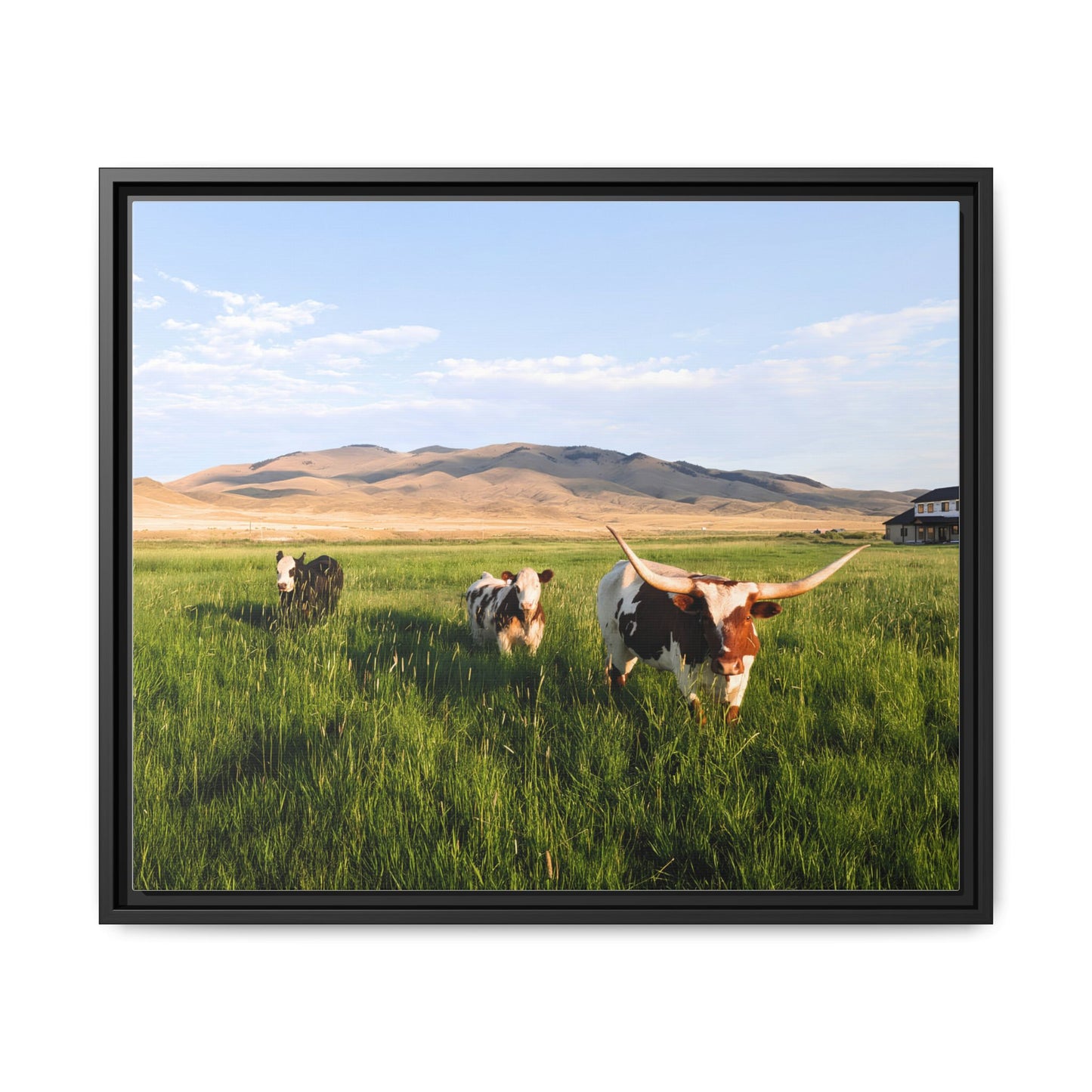 Grasslands Metal Printed Frame