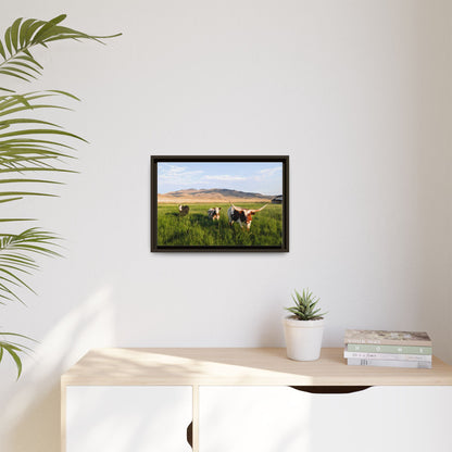 Grasslands Metal Printed Frame