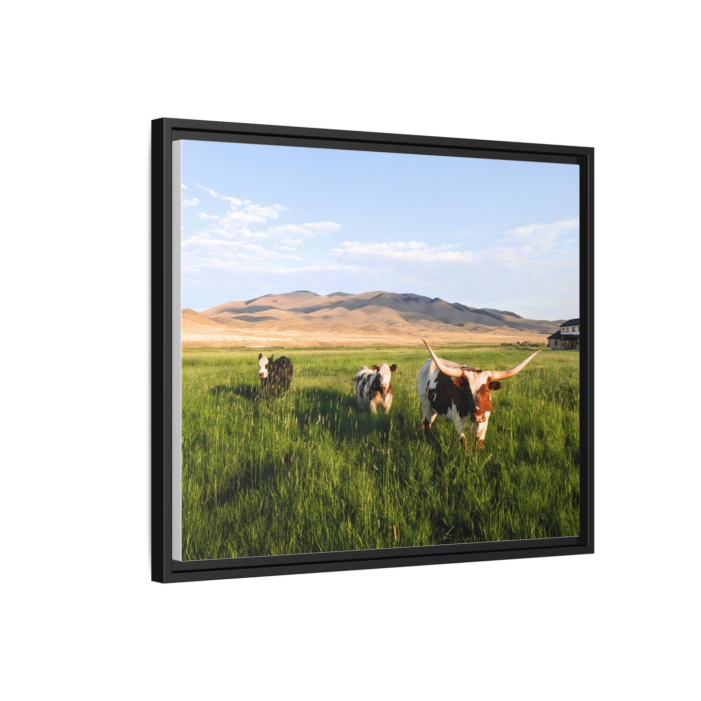 Grasslands Metal Printed Frame