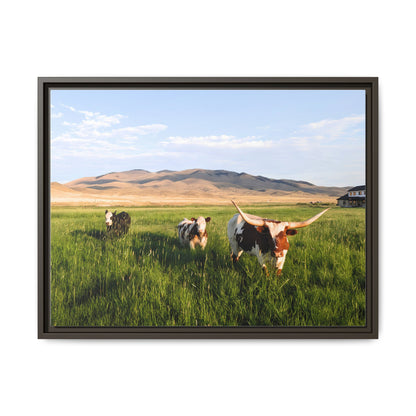 Grasslands Metal Printed Frame