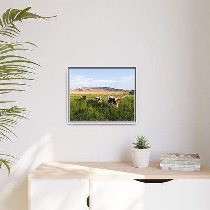 Grasslands Metal Printed Frame