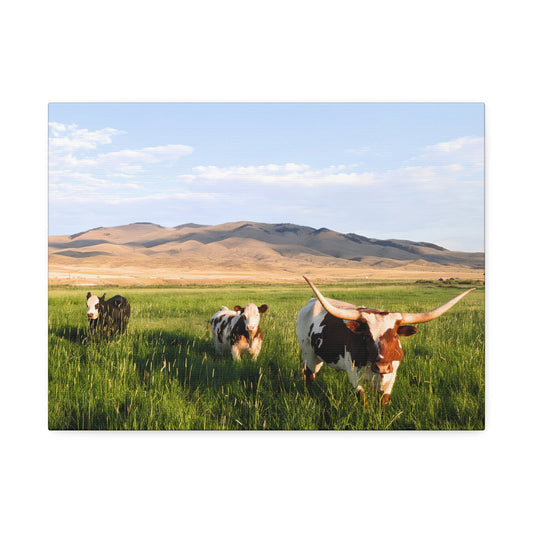Grasslands Canvas