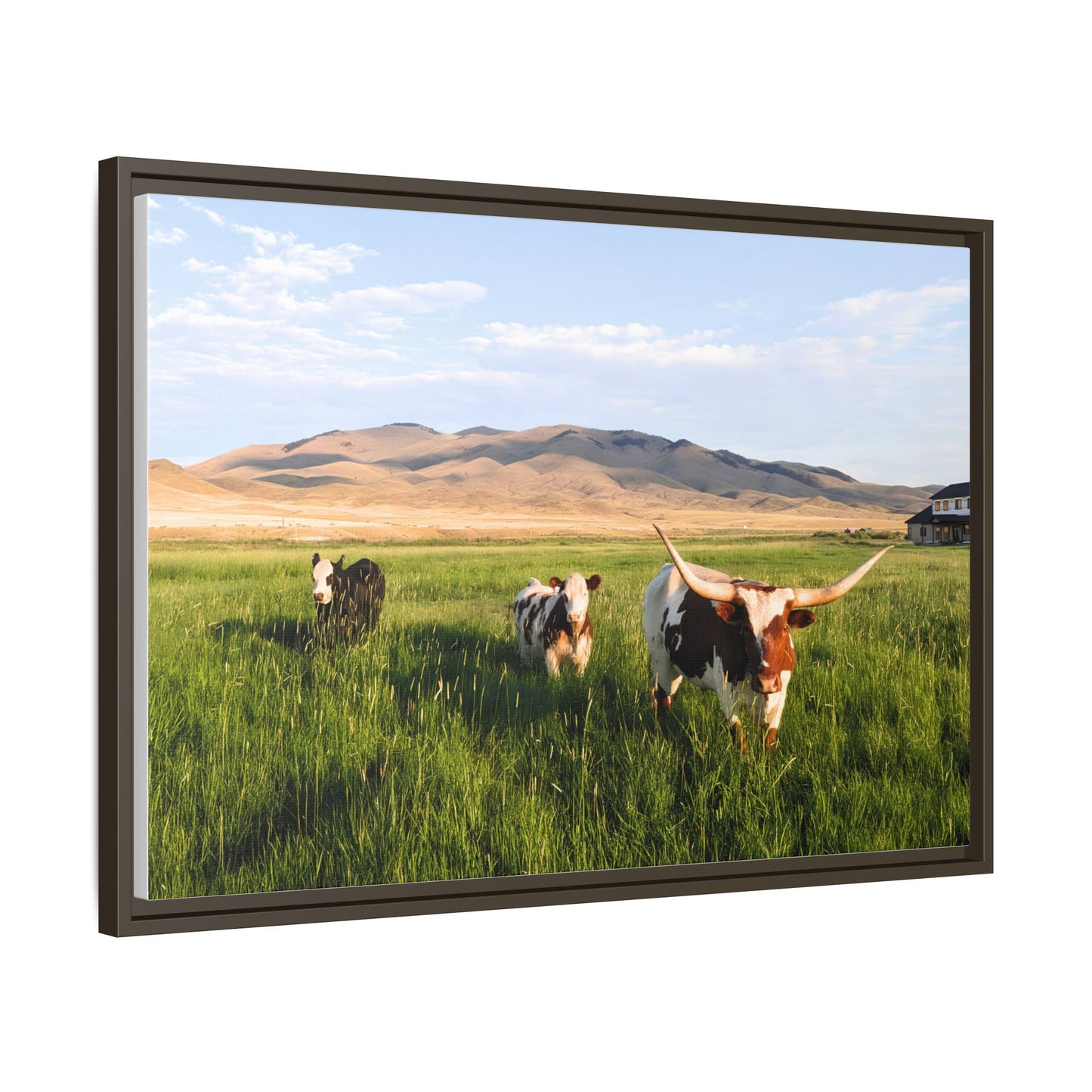 Grasslands Metal Printed Frame