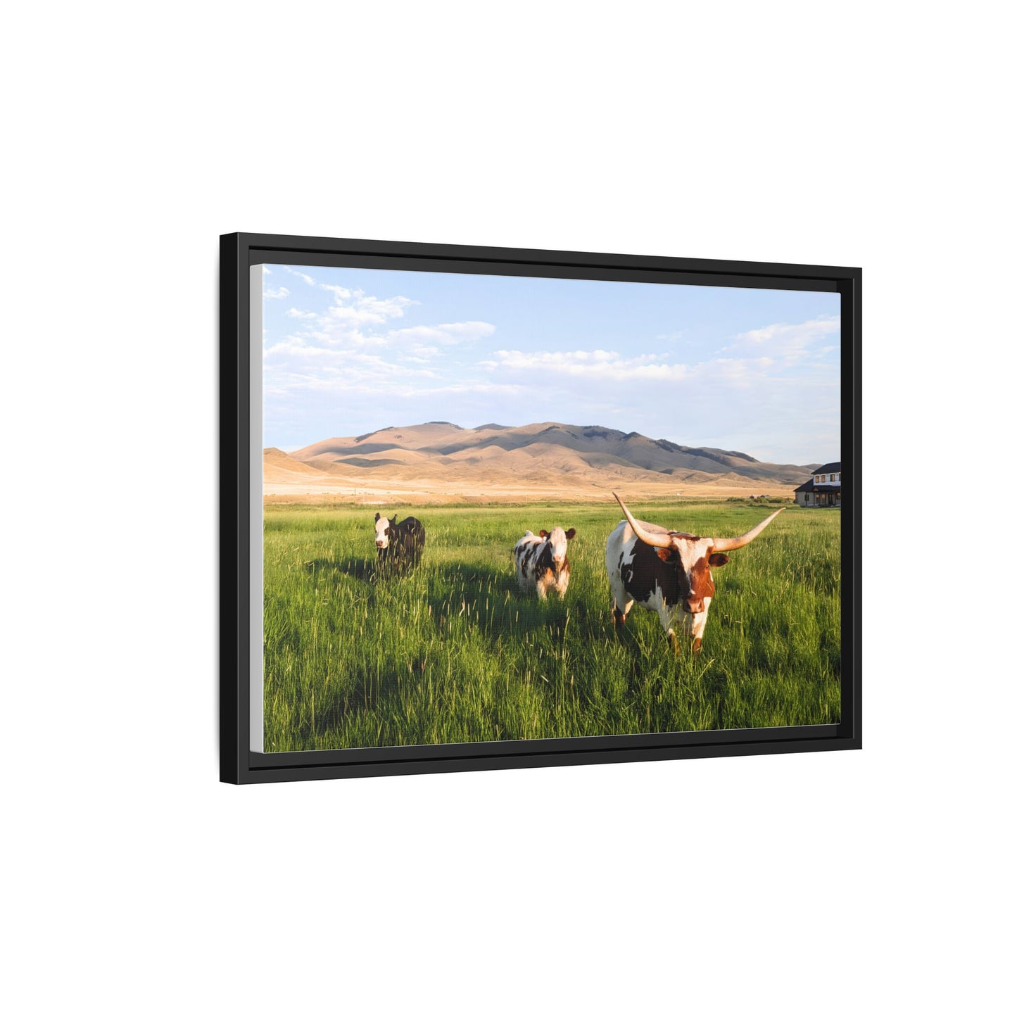 Grasslands Metal Printed Frame