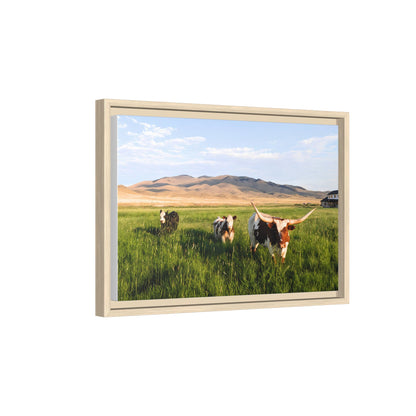 Grasslands Metal Printed Frame