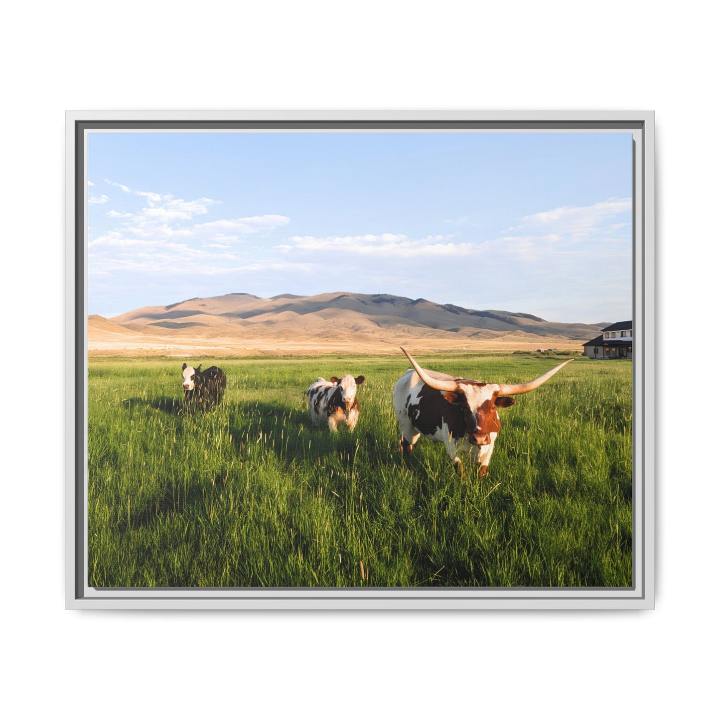Grasslands Metal Printed Frame