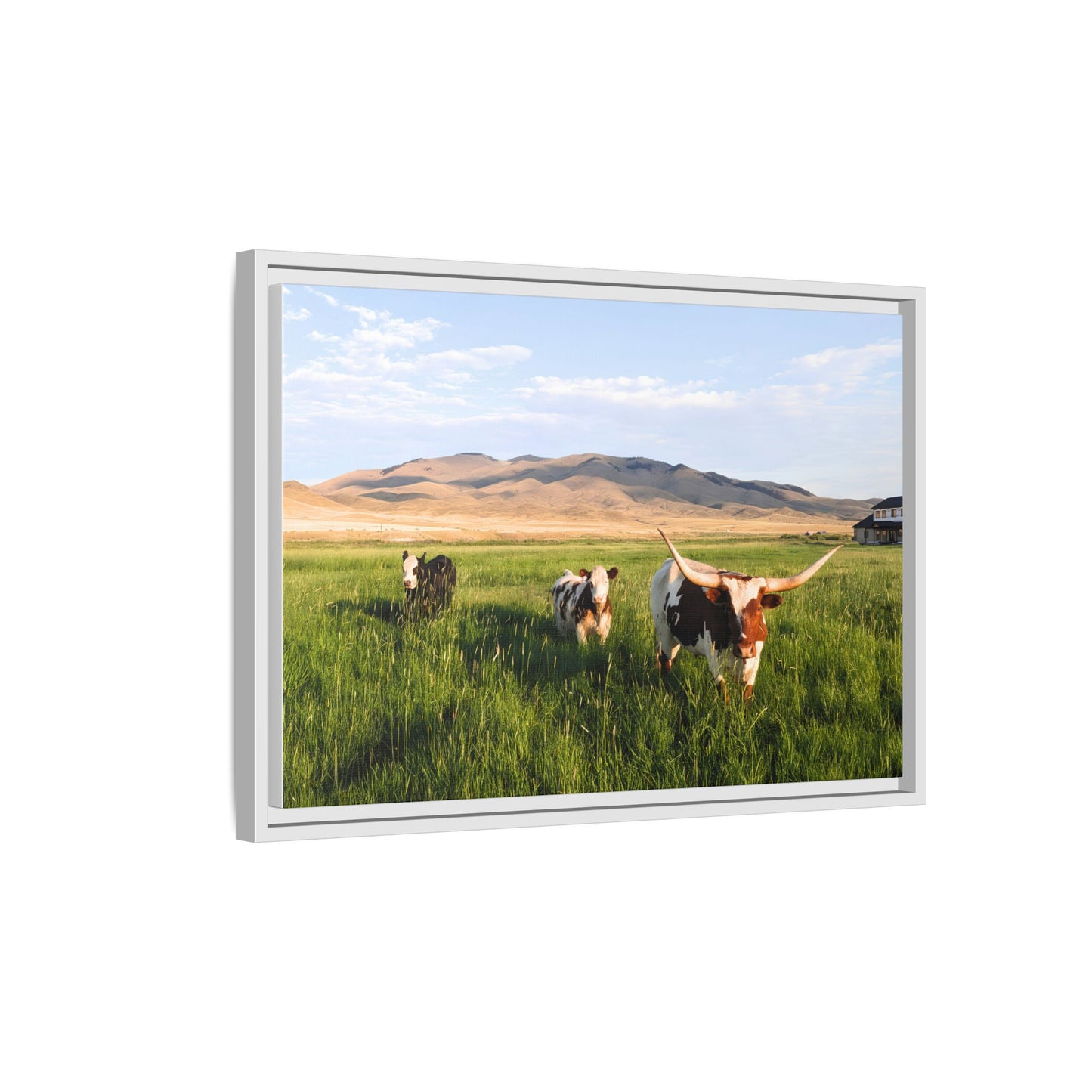Grasslands Metal Printed Frame
