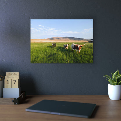 Grasslands Aluminum Composite Panels
