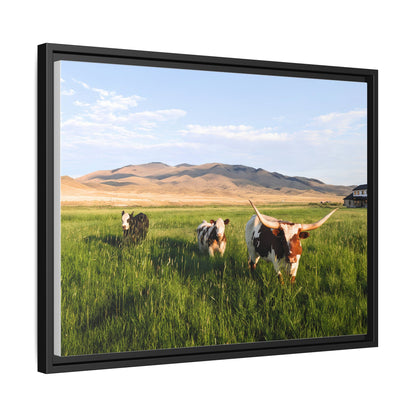 Grasslands Metal Printed Frame