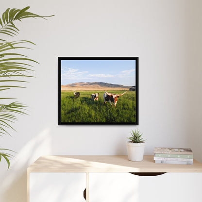 Grasslands Metal Printed Frame