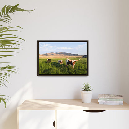 Grasslands Metal Printed Frame