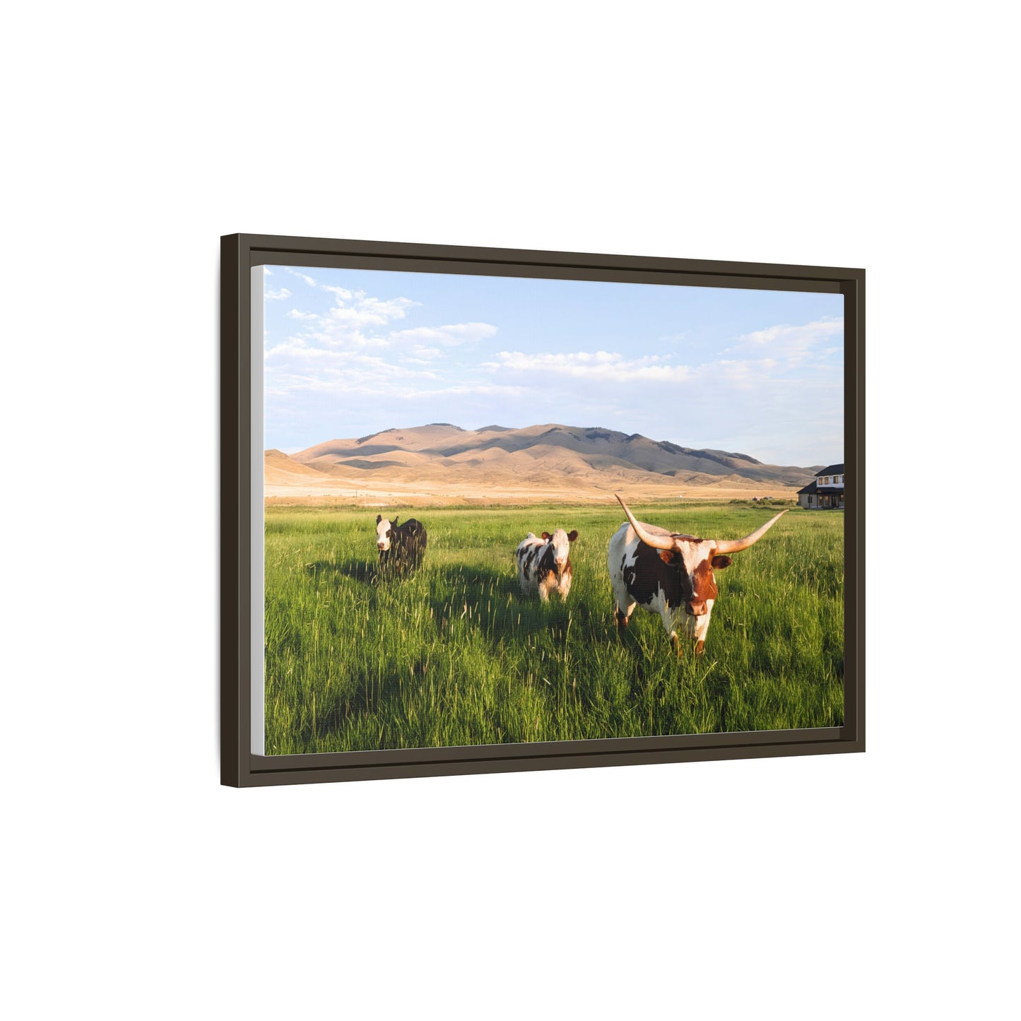 Grasslands Metal Printed Frame