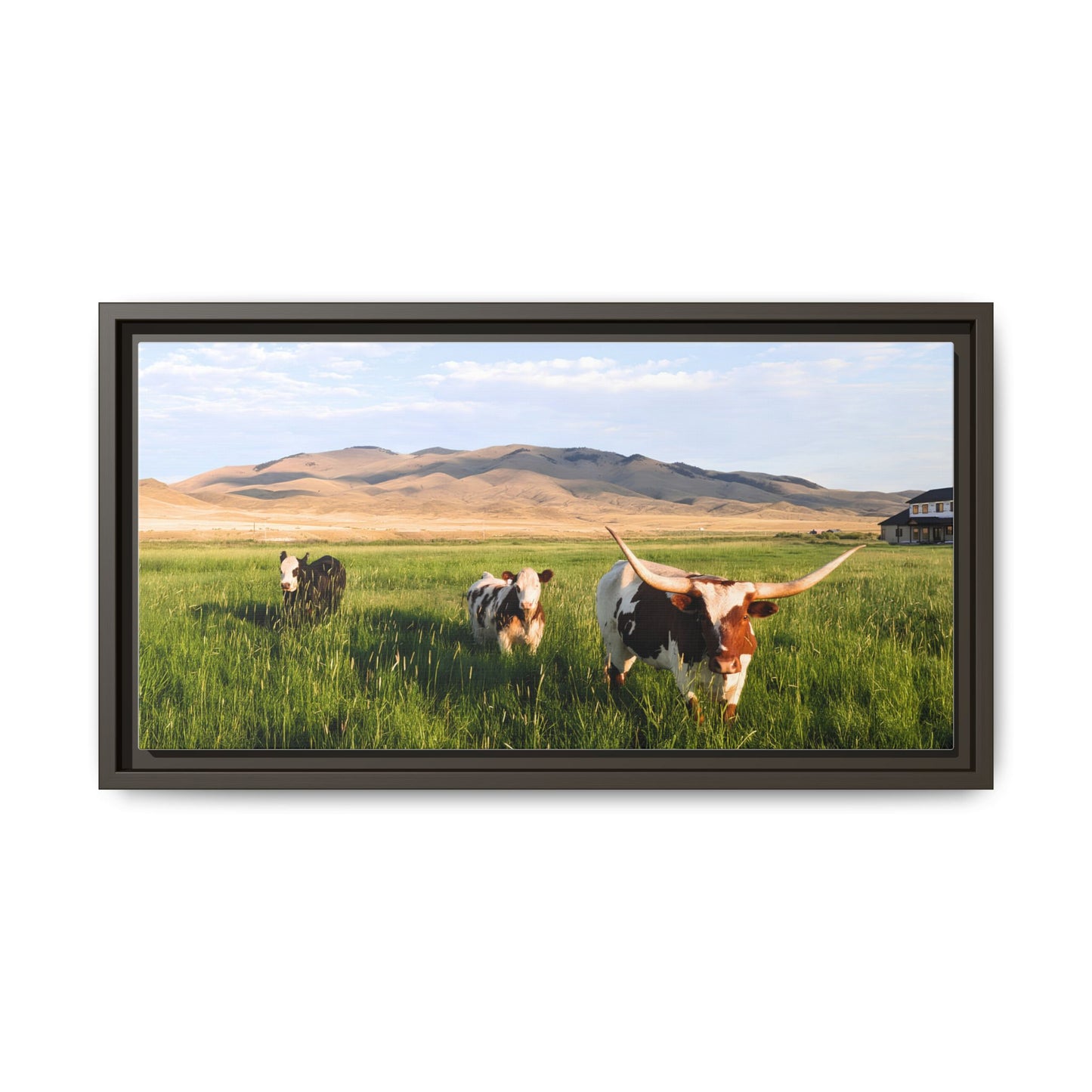 Grasslands Metal Printed Frame