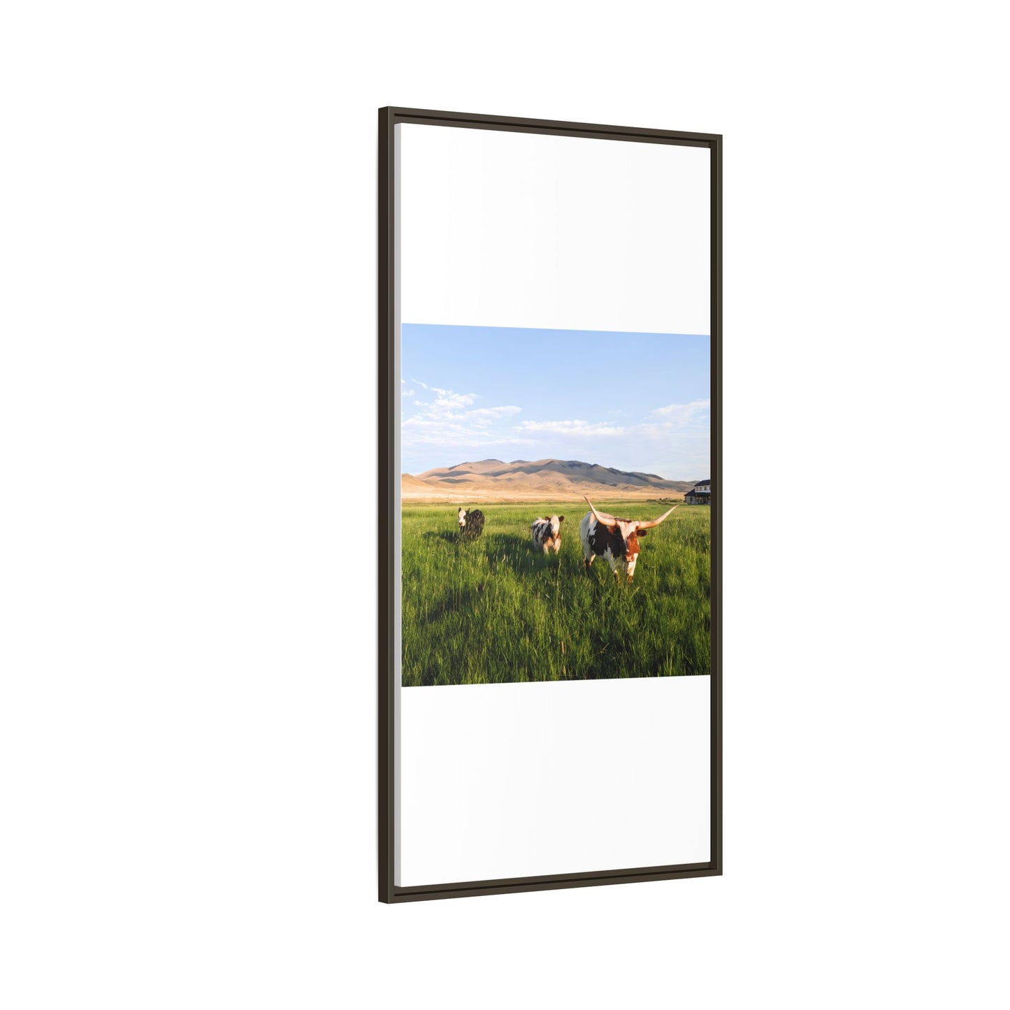 Grasslands Metal Printed Frame