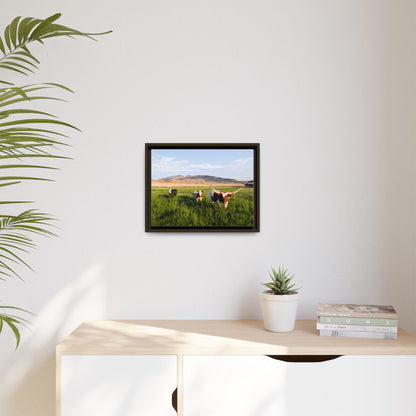 Grasslands Metal Printed Frame