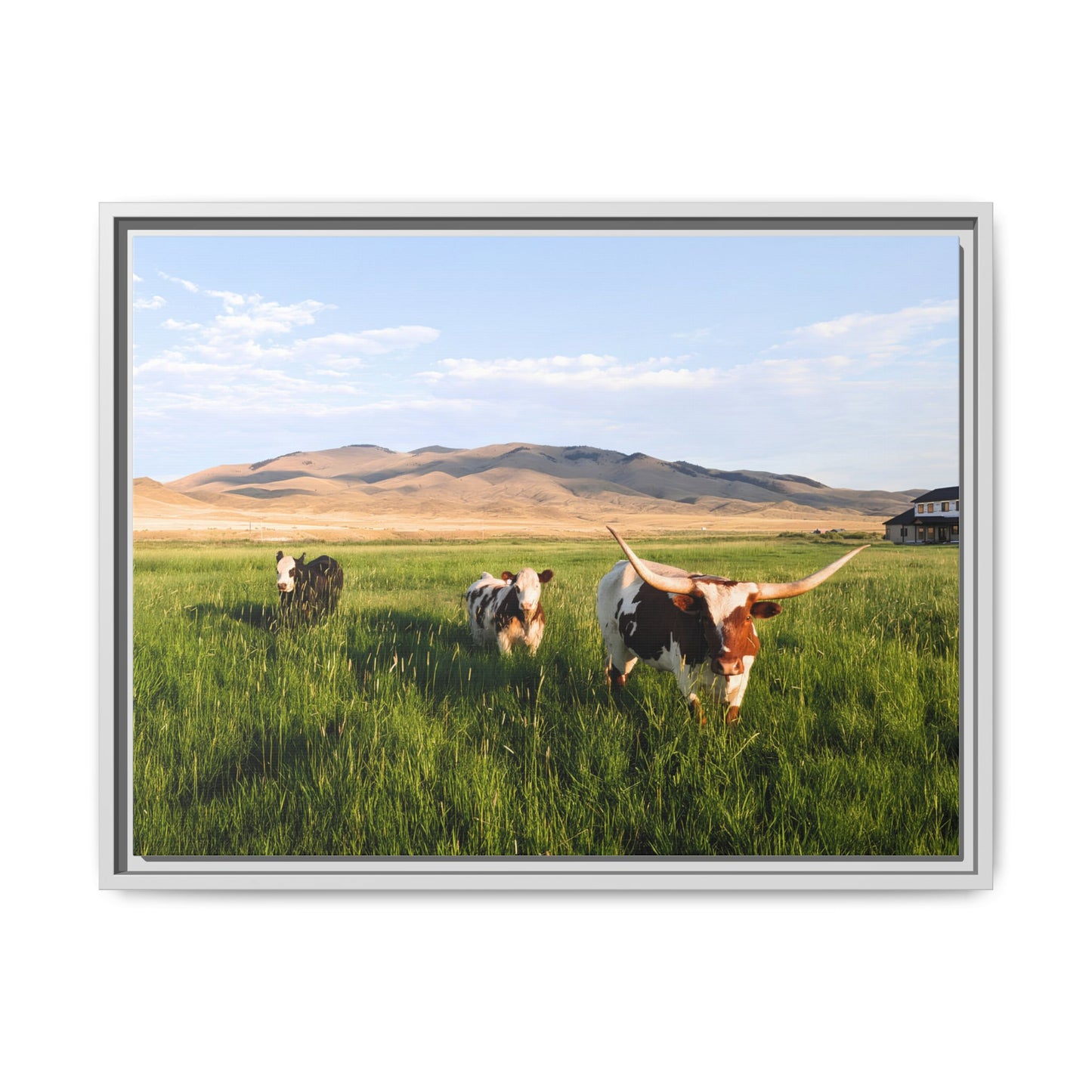 Grasslands Metal Printed Frame
