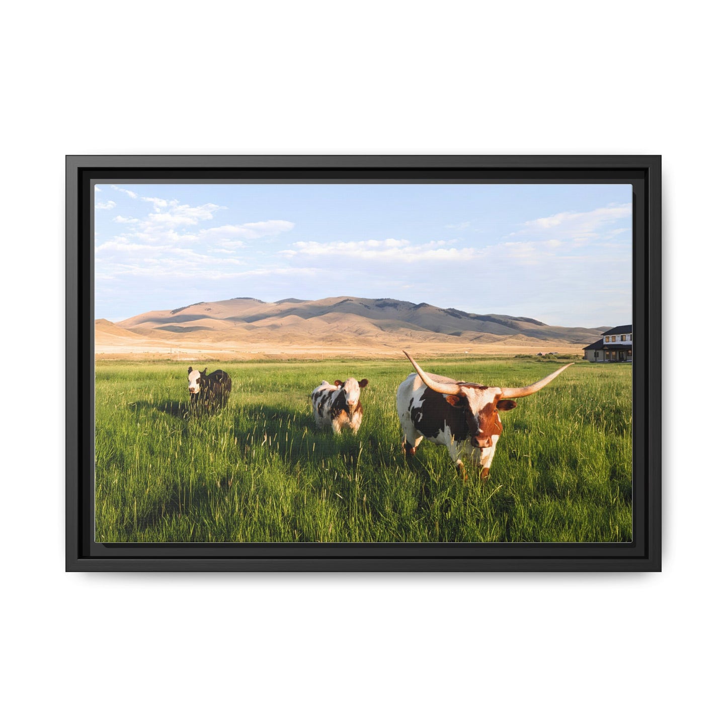 Grasslands Metal Printed Frame
