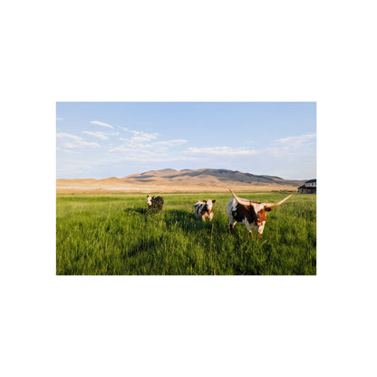 Grasslands Aluminum Composite Panels
