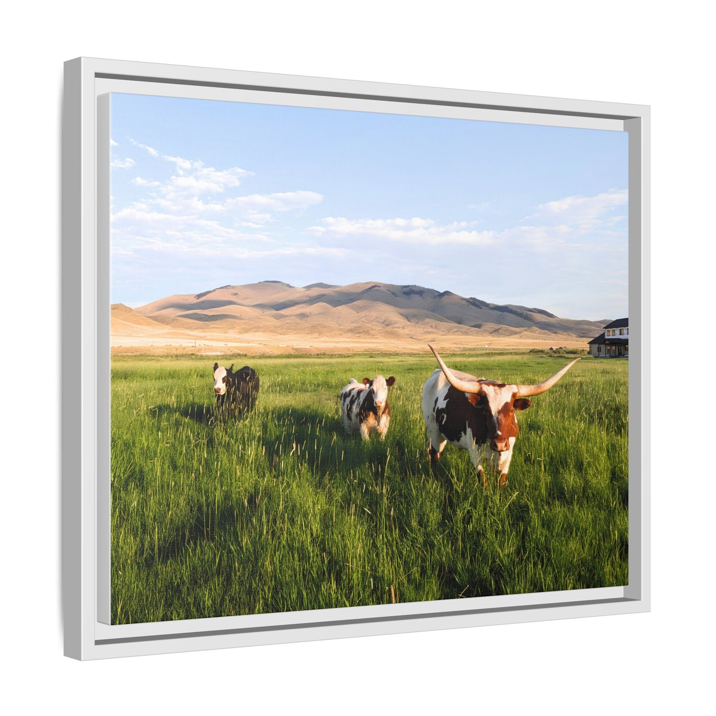 Grasslands Metal Printed Frame