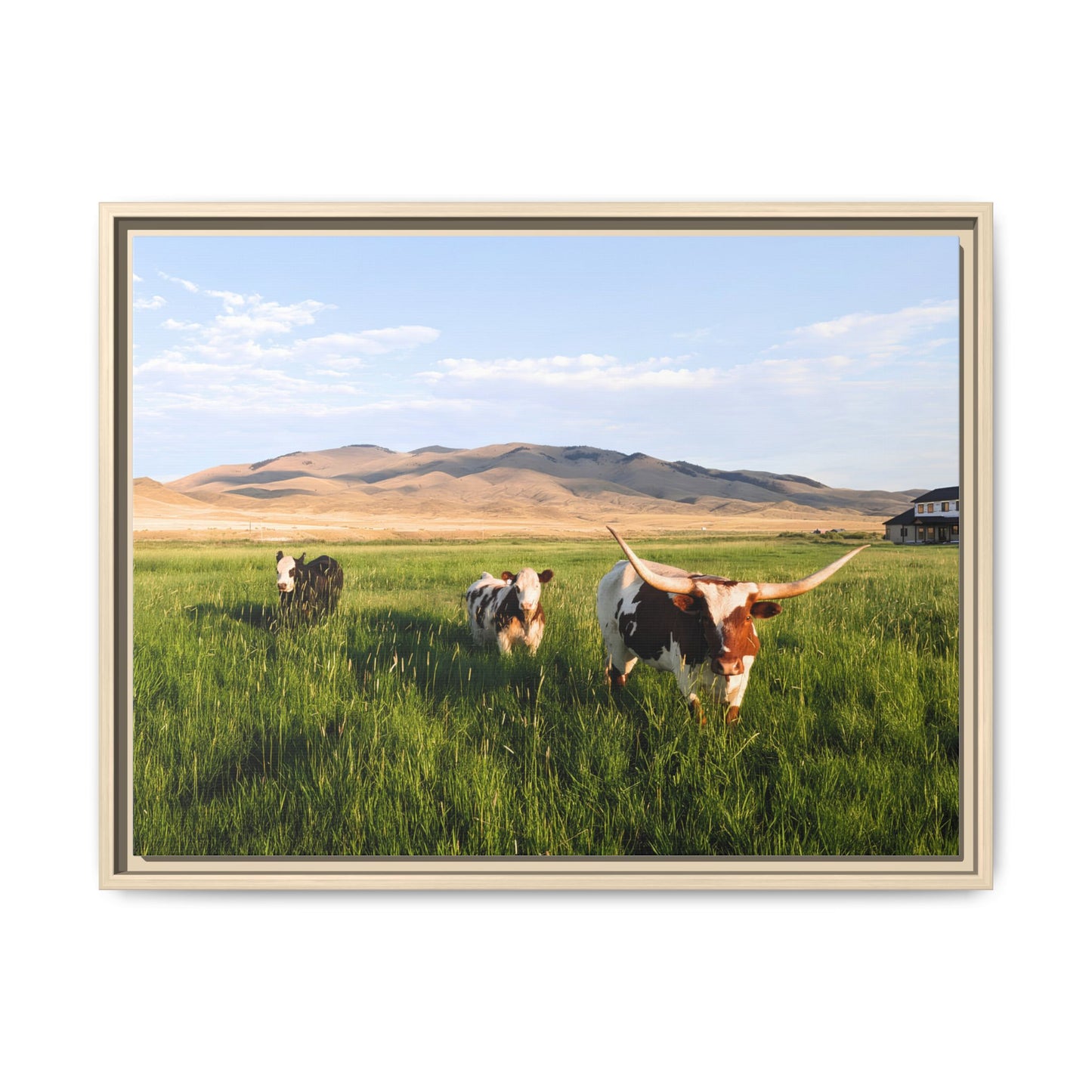 Grasslands Metal Printed Frame