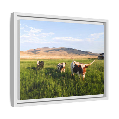 Grasslands Metal Printed Frame