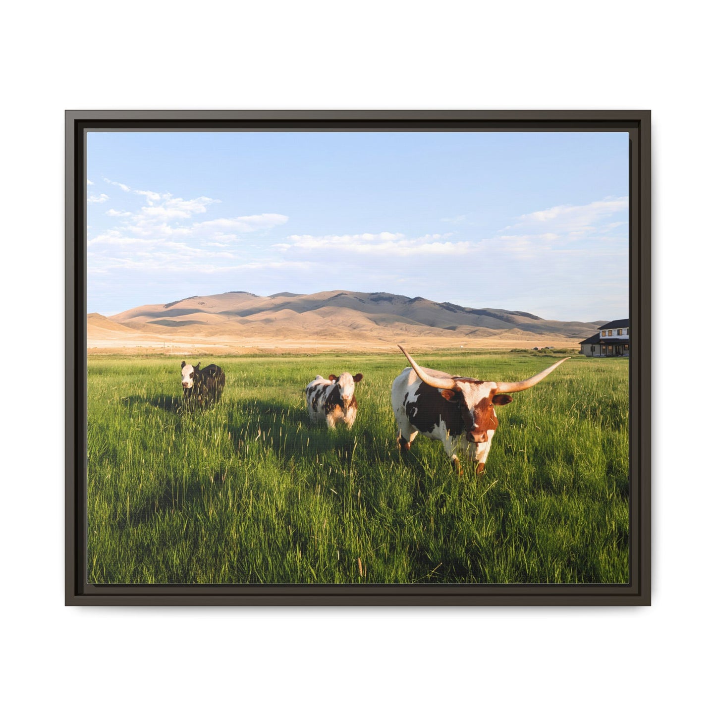 Grasslands Metal Printed Frame