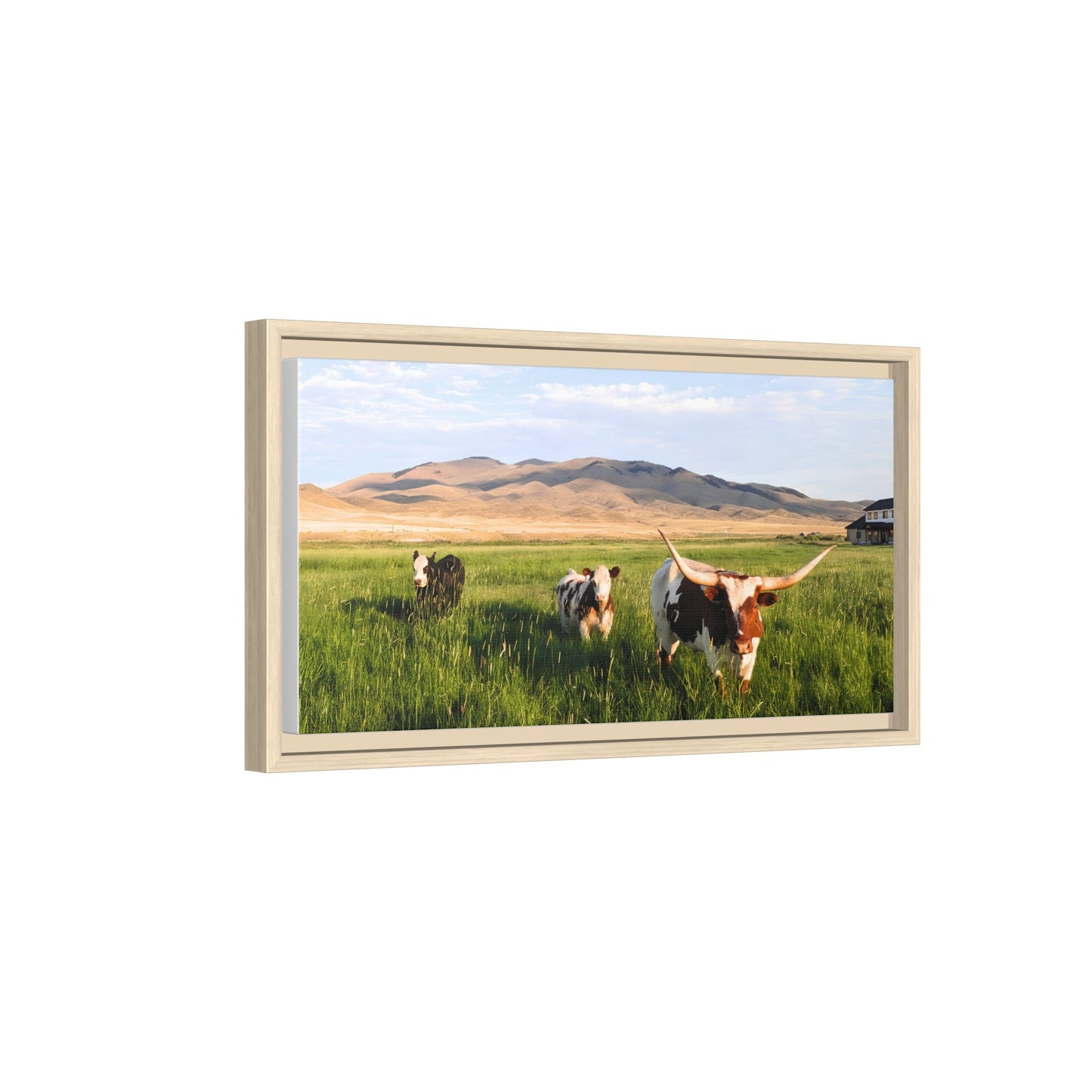 Grasslands Metal Printed Frame