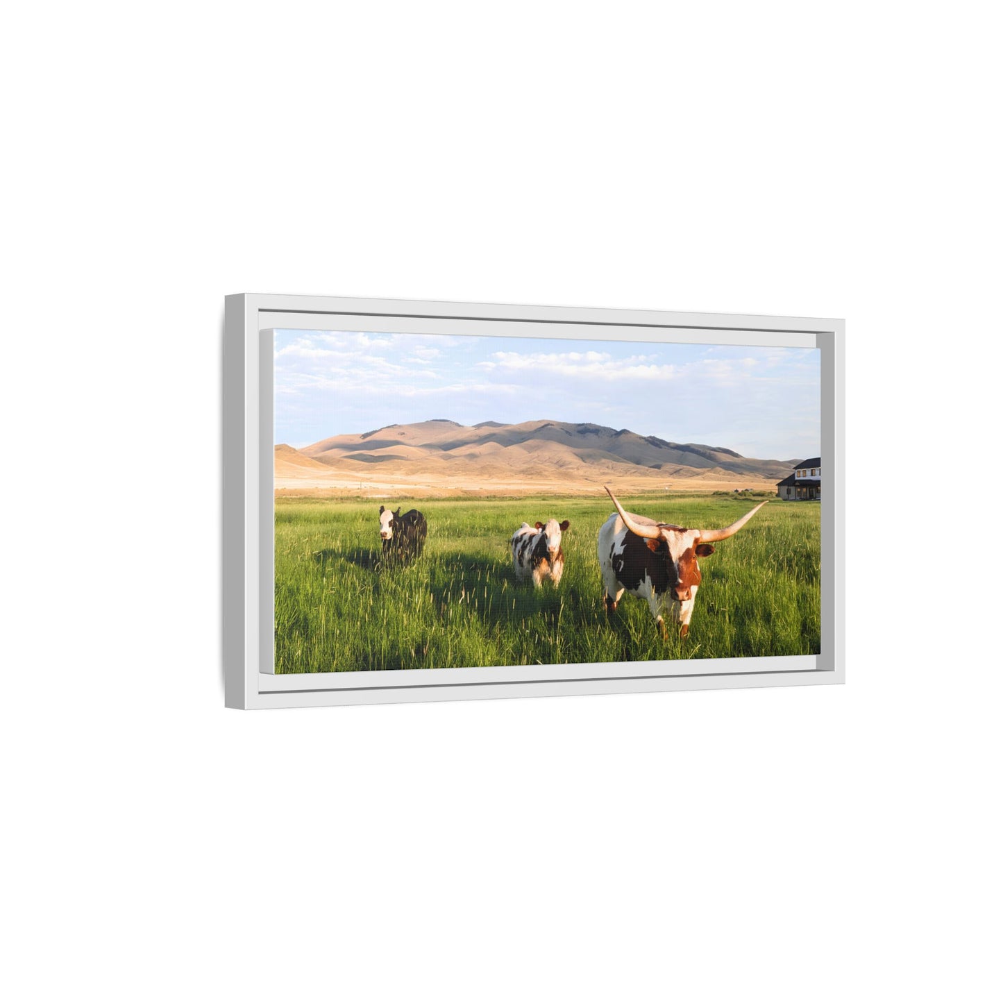 Grasslands Metal Printed Frame