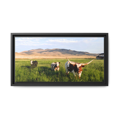 Grasslands Metal Printed Frame
