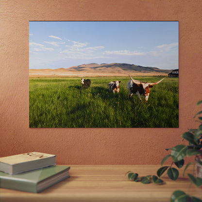 Grasslands Aluminum Composite Panels