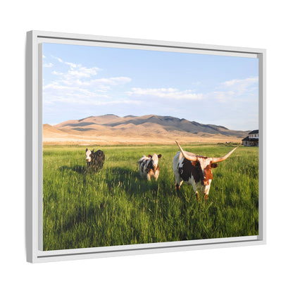 Grasslands Metal Printed Frame