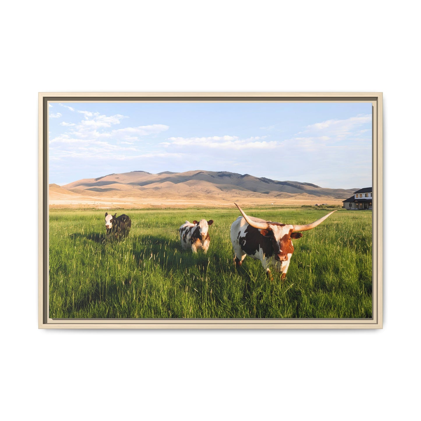Grasslands Metal Printed Frame