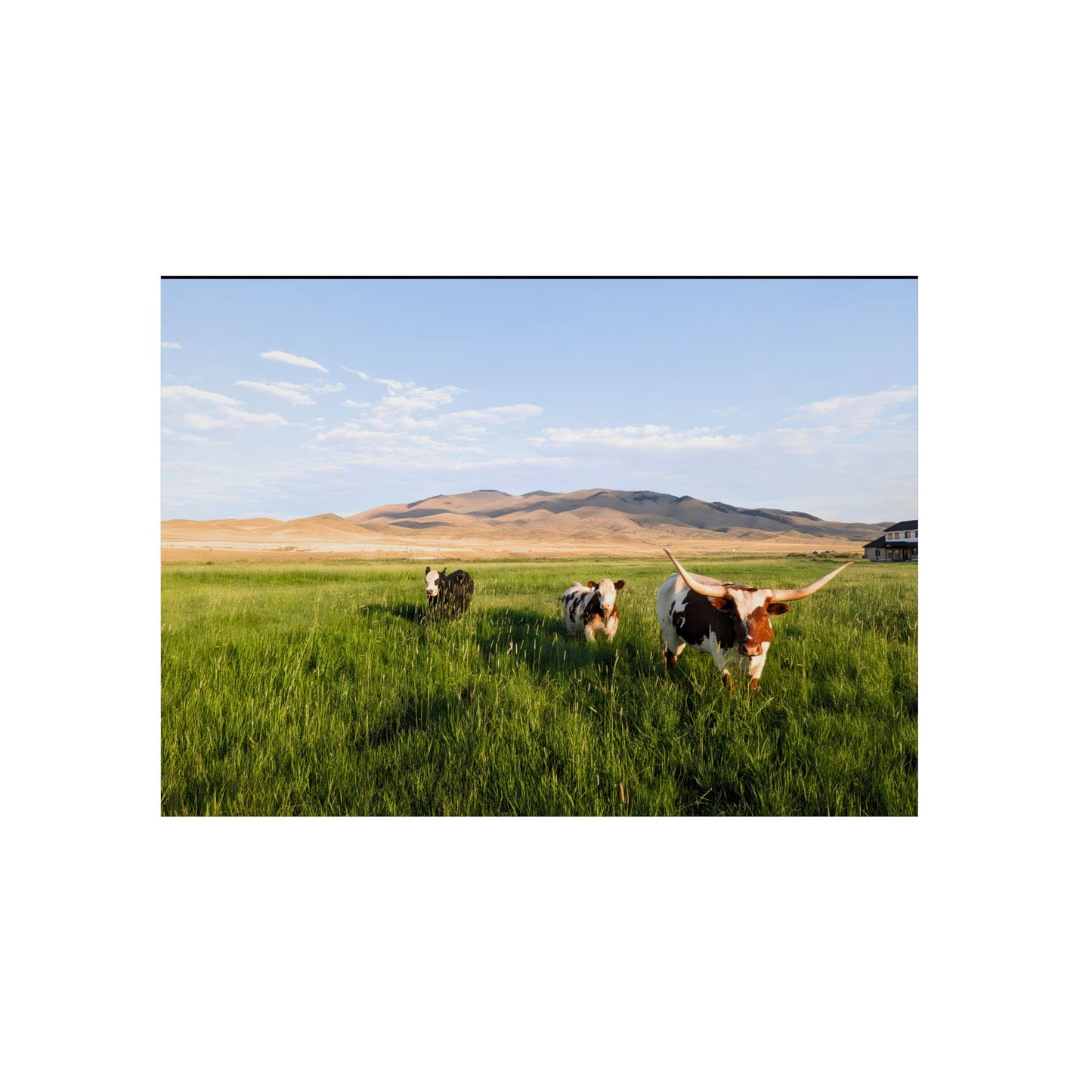 Grasslands Aluminum Composite Panels