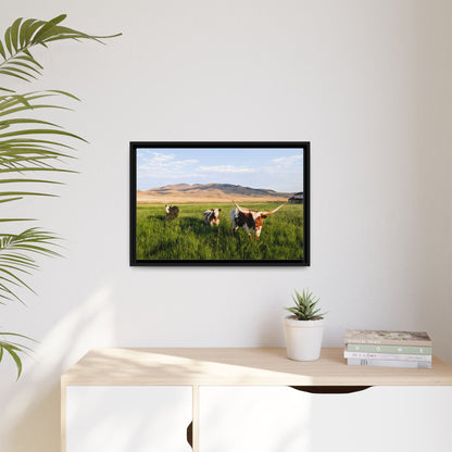 Grasslands Metal Printed Frame
