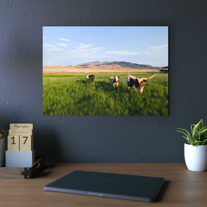 Grasslands Aluminum Composite Panels