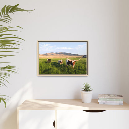 Grasslands Metal Printed Frame
