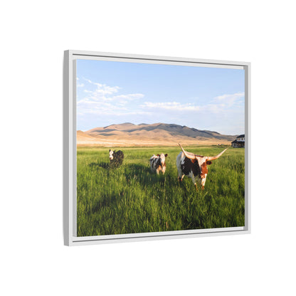 Grasslands Metal Printed Frame