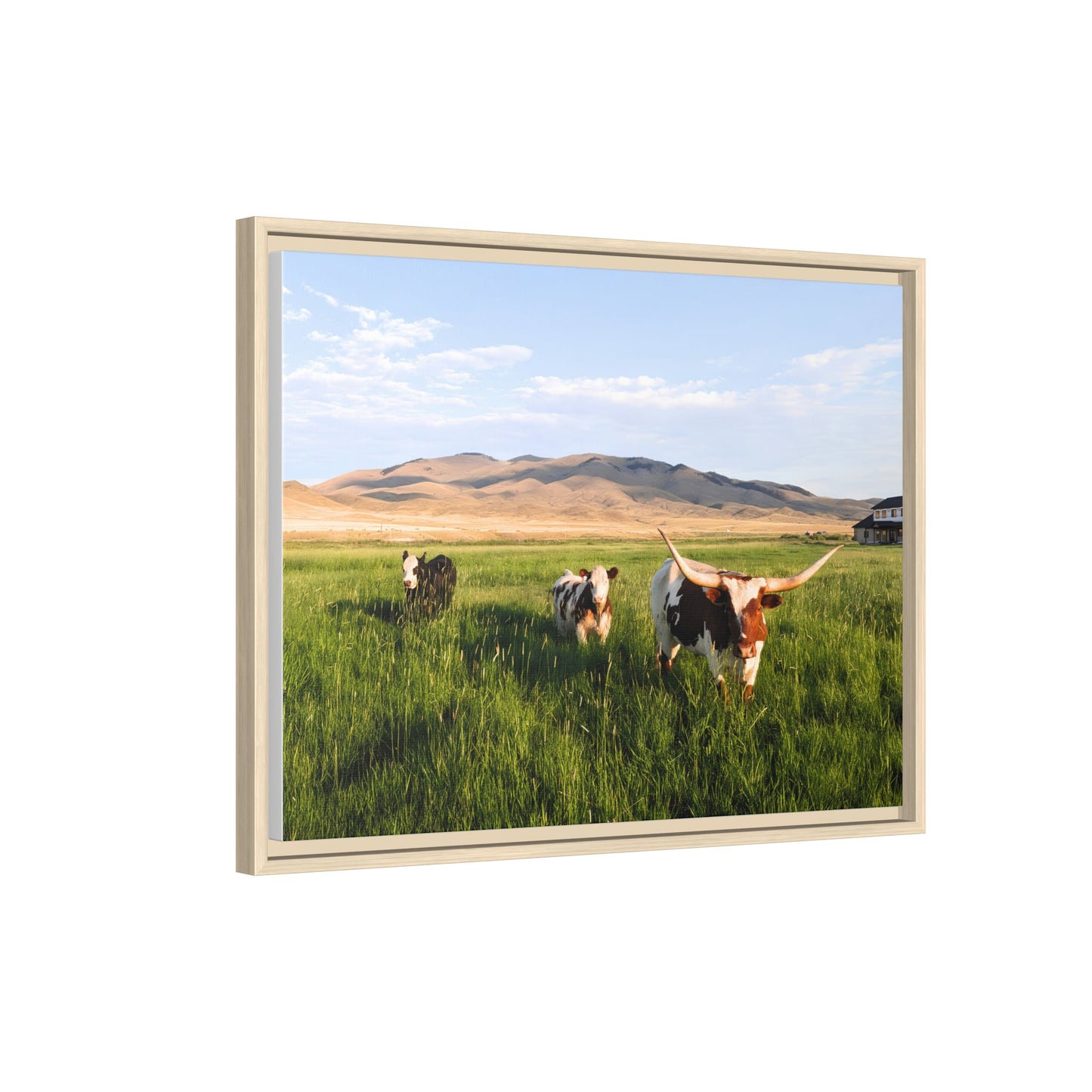 Grasslands Metal Printed Frame