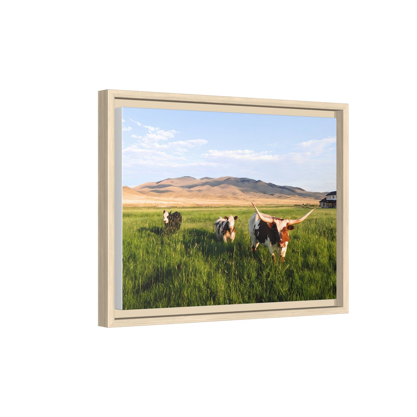 Grasslands Metal Printed Frame