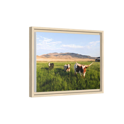 Grasslands Metal Printed Frame