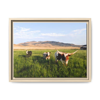Grasslands Metal Printed Frame