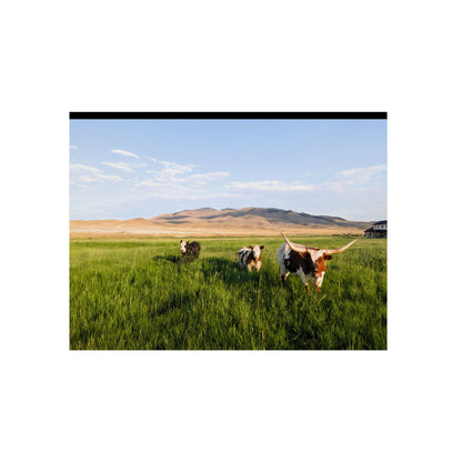 Grasslands Aluminum Composite Panels