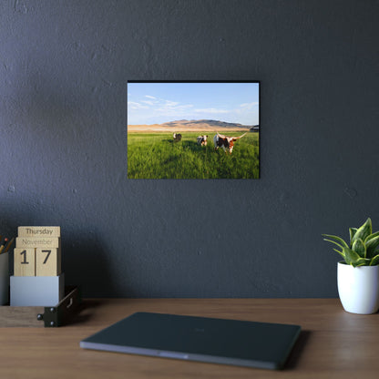 Grasslands Aluminum Composite Panels
