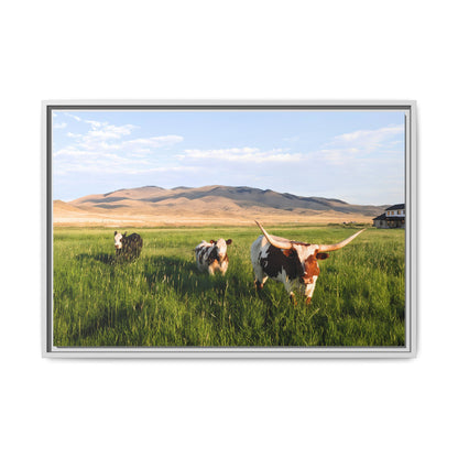 Grasslands Metal Printed Frame