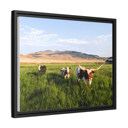 Grasslands Metal Printed Frame