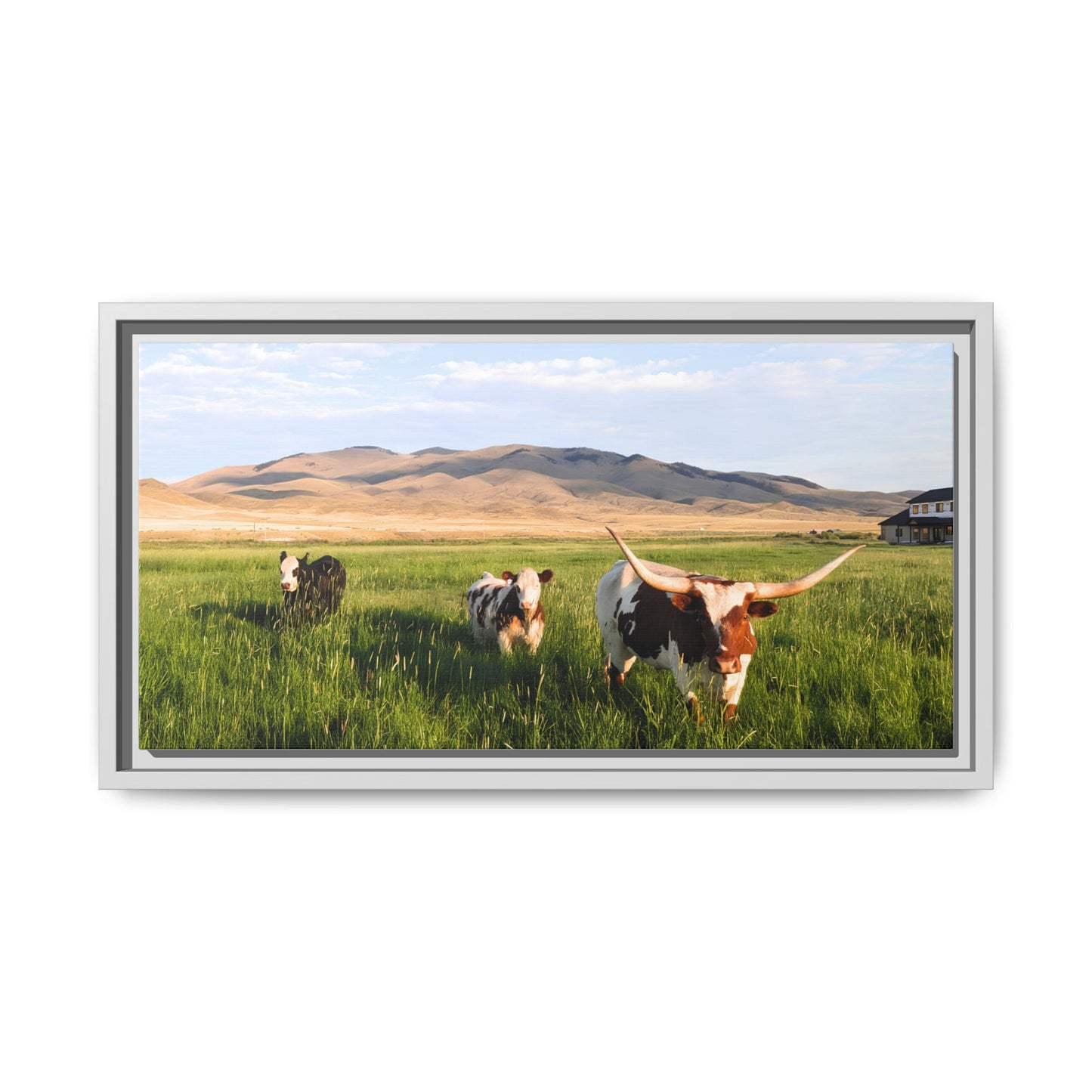 Grasslands Metal Printed Frame